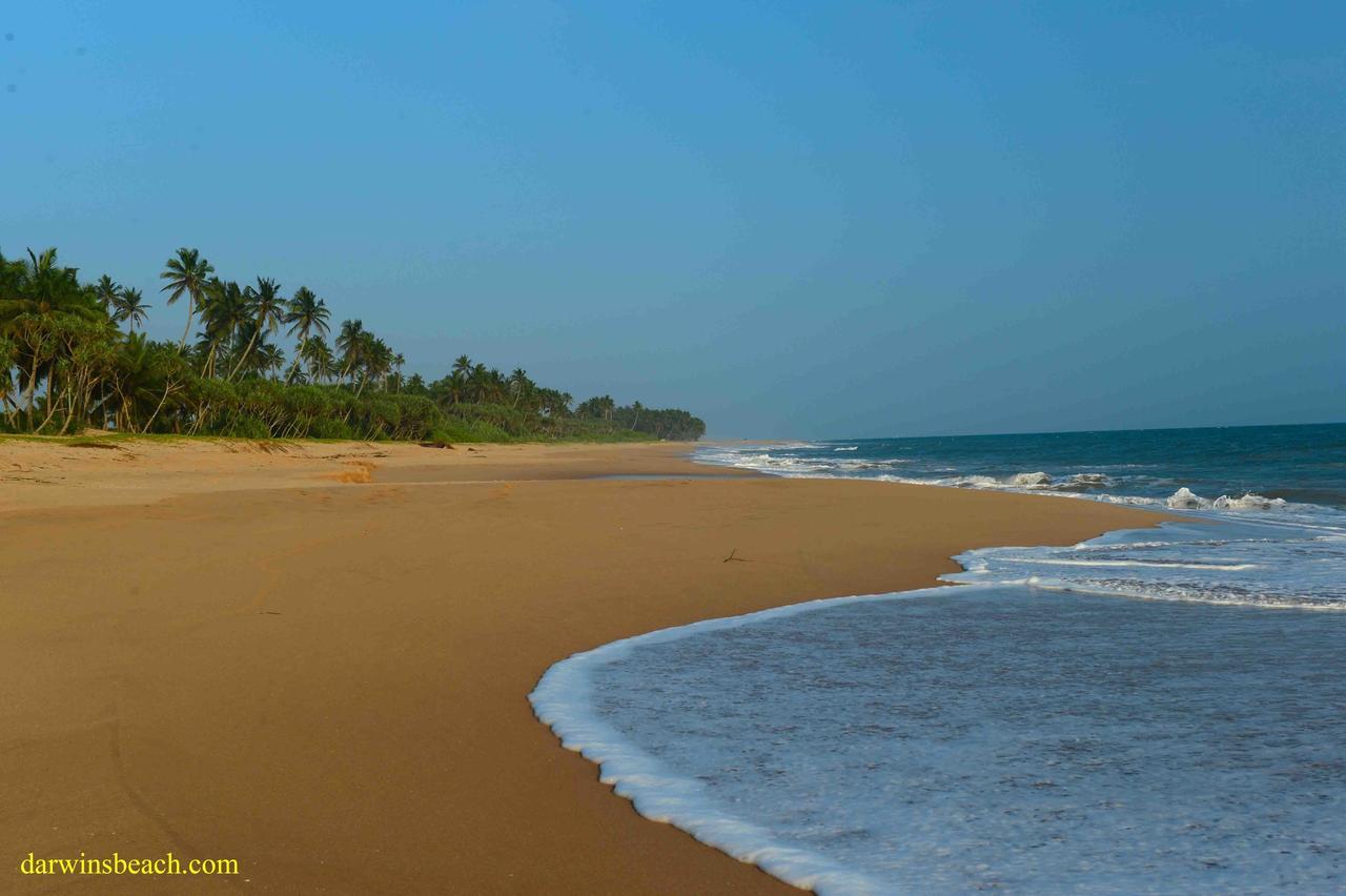 Darwins Beach Resort Tangalle Bagian luar foto