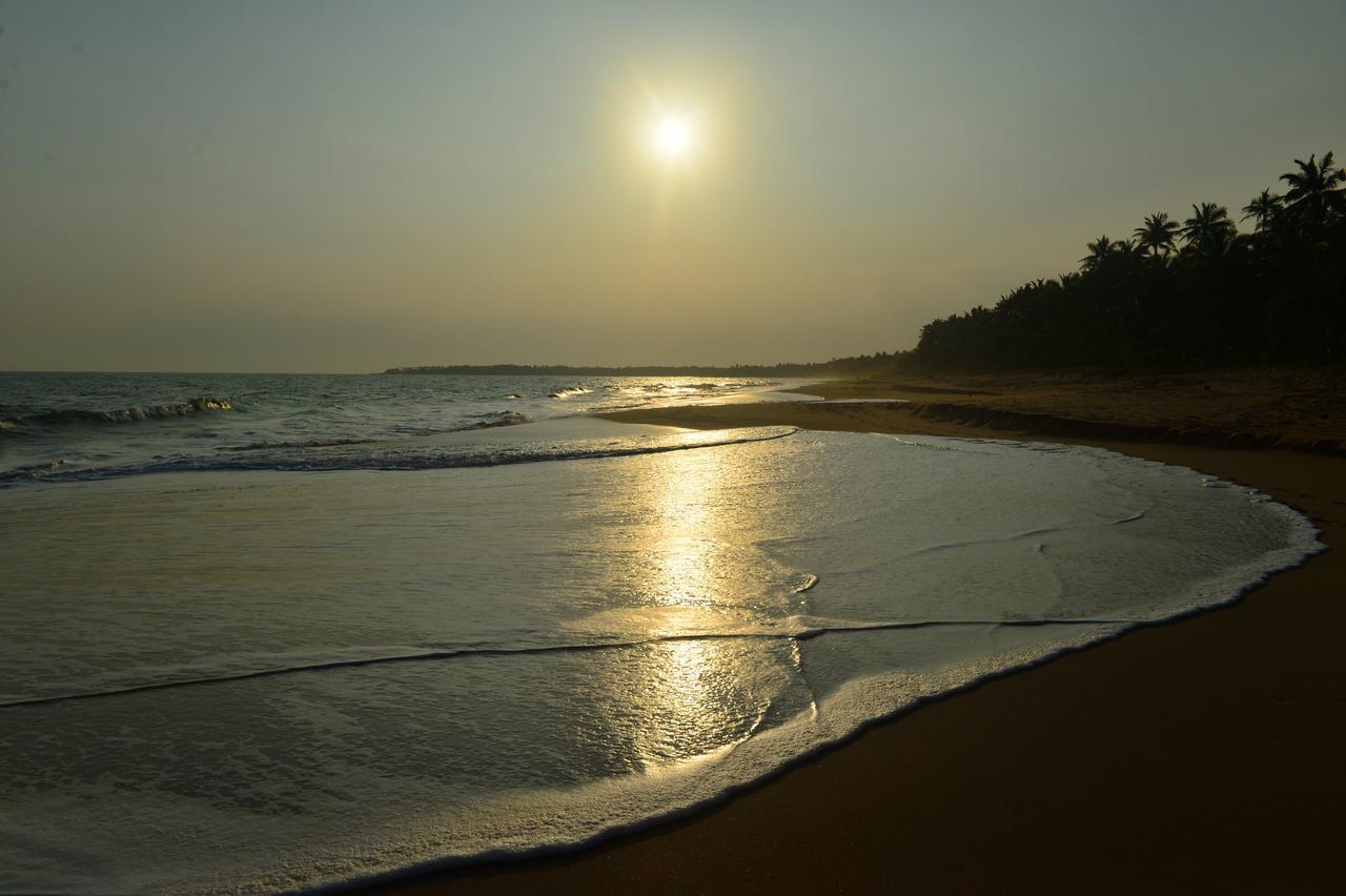 Darwins Beach Resort Tangalle Ruang foto