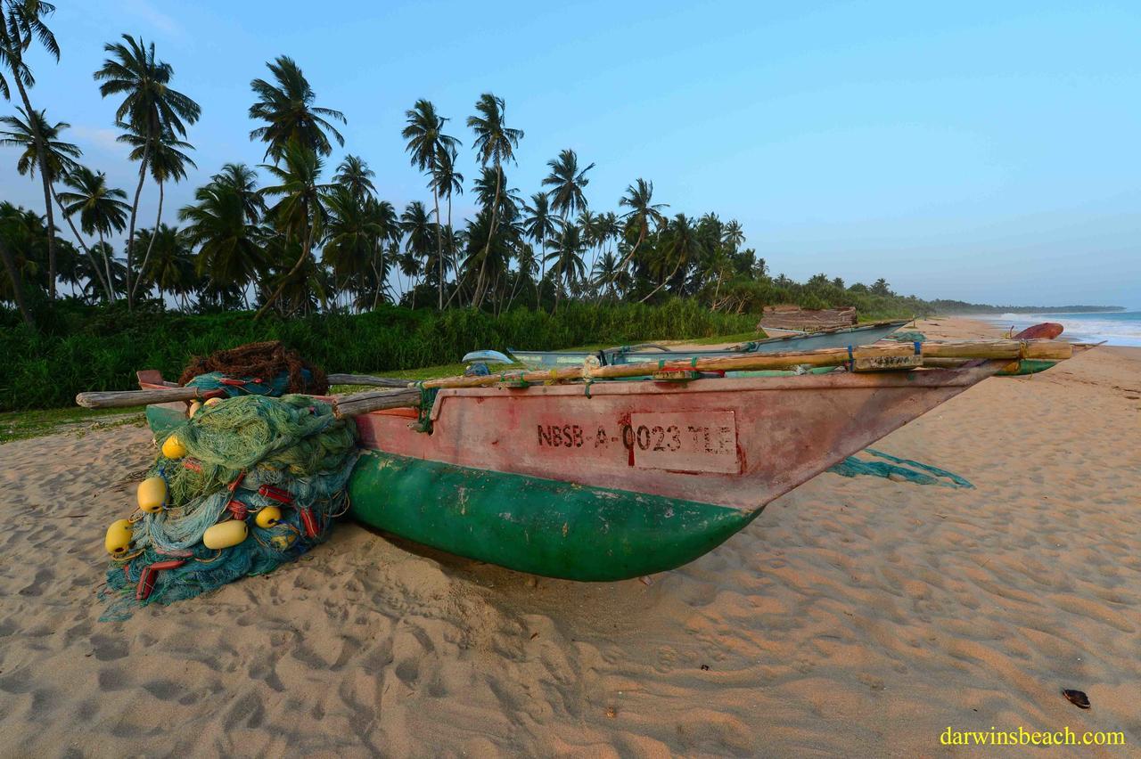 Darwins Beach Resort Tangalle Bagian luar foto