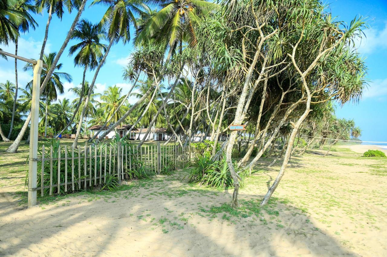 Darwins Beach Resort Tangalle Bagian luar foto