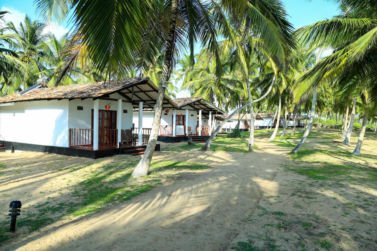 Darwins Beach Resort Tangalle Bagian luar foto