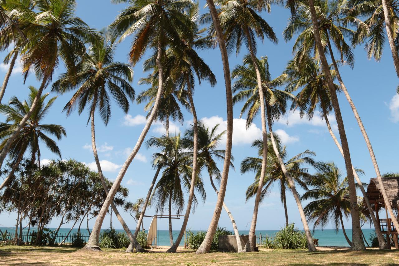 Darwins Beach Resort Tangalle Bagian luar foto