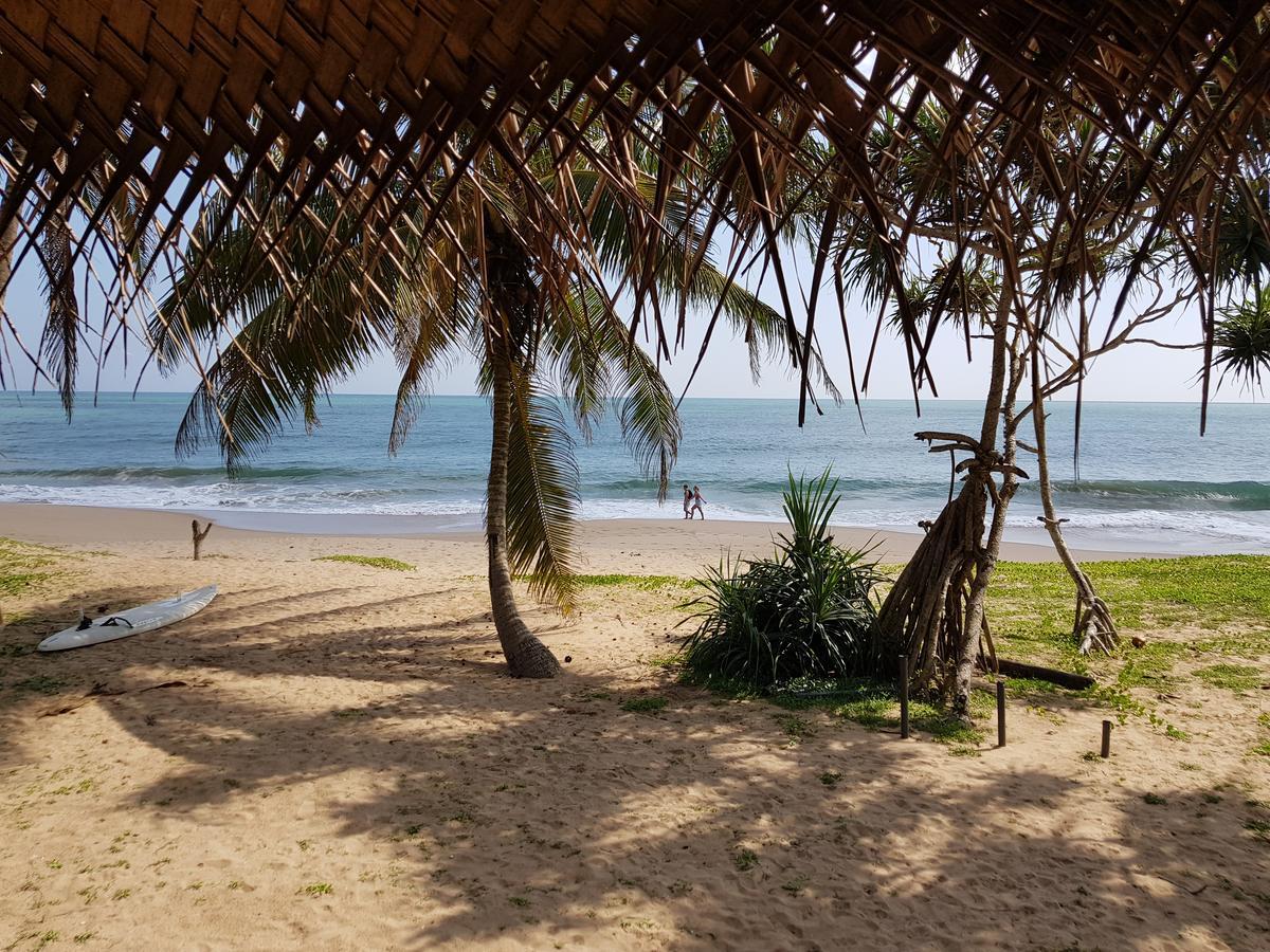 Darwins Beach Resort Tangalle Bagian luar foto